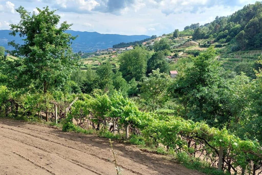 Вилла Quinta Dos Castros Douro Байан Экстерьер фото