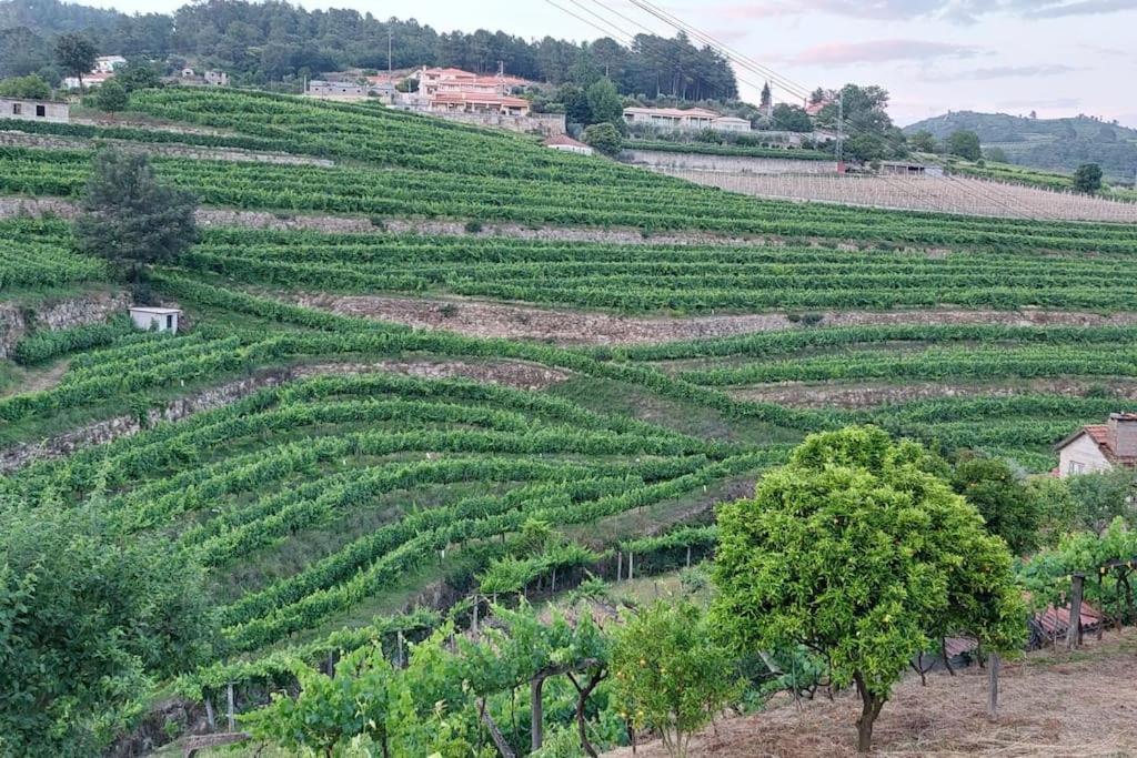 Вилла Quinta Dos Castros Douro Байан Экстерьер фото