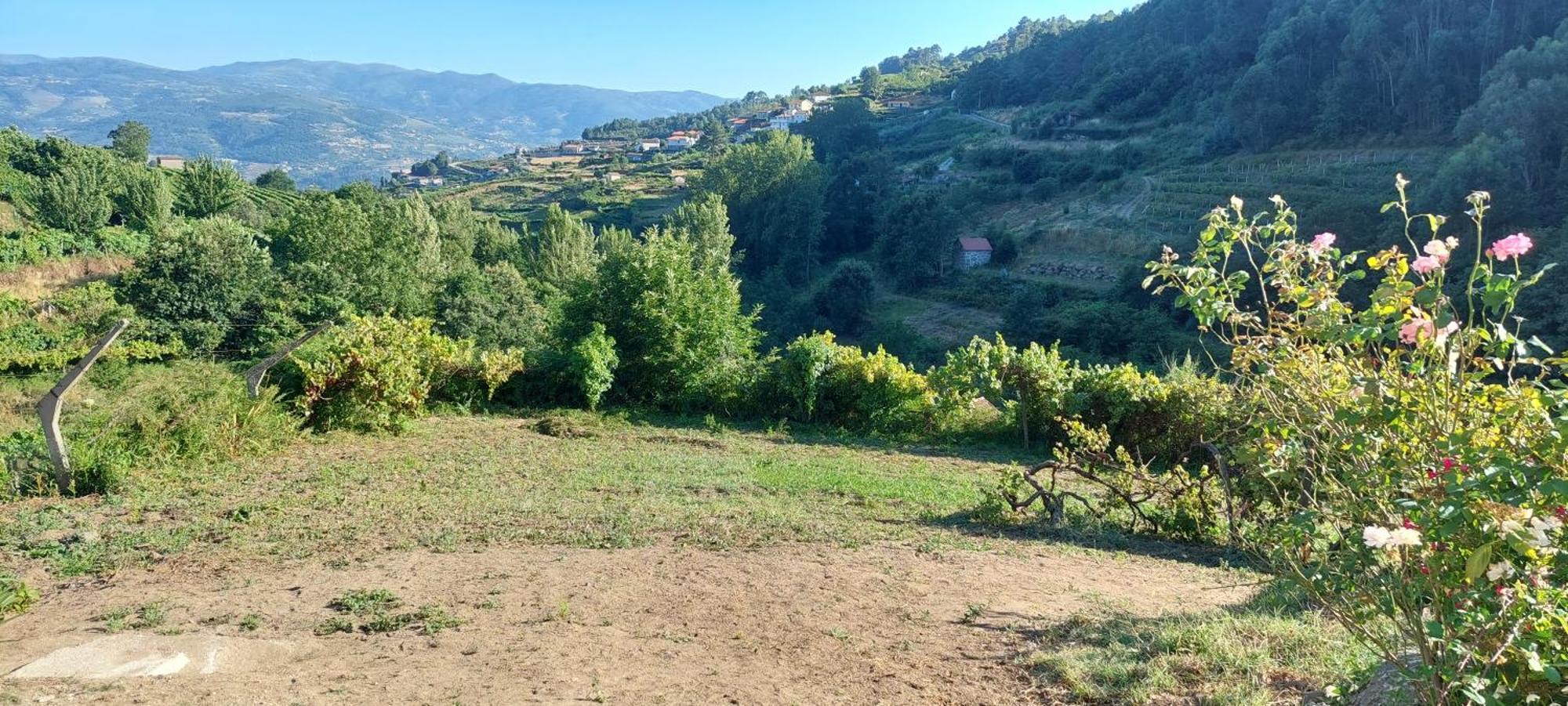Вилла Quinta Dos Castros Douro Байан Экстерьер фото
