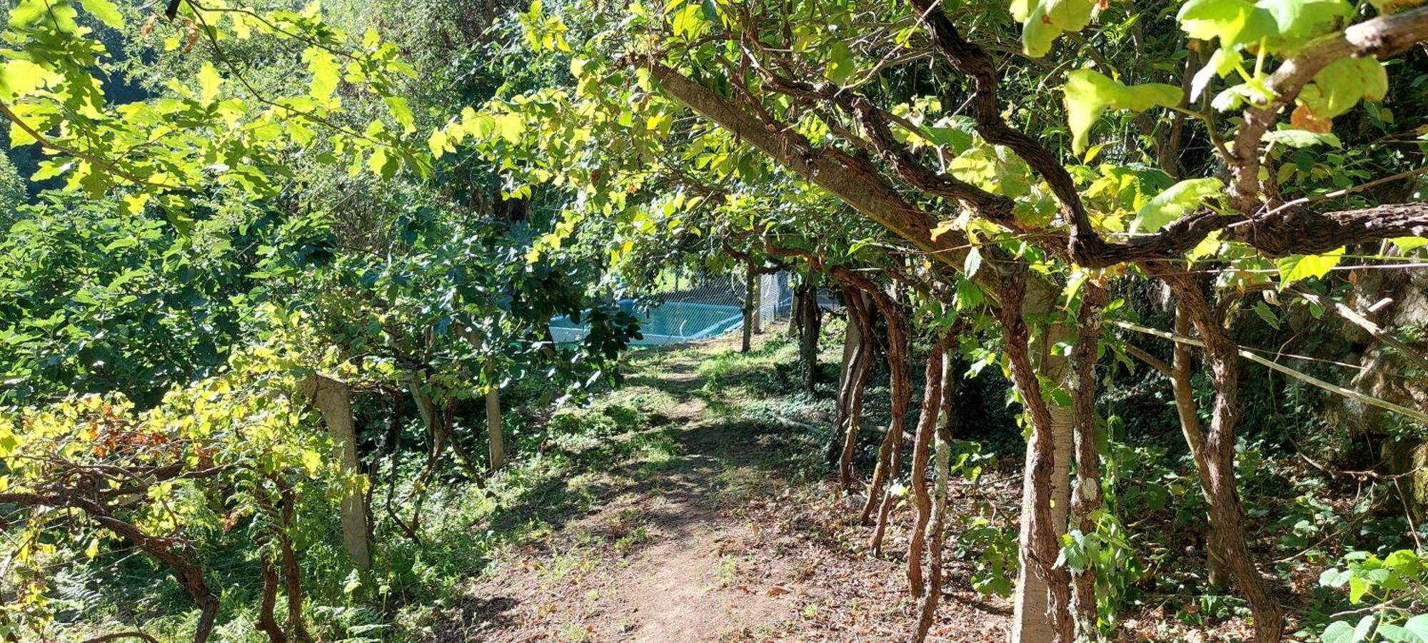 Вилла Quinta Dos Castros Douro Байан Экстерьер фото