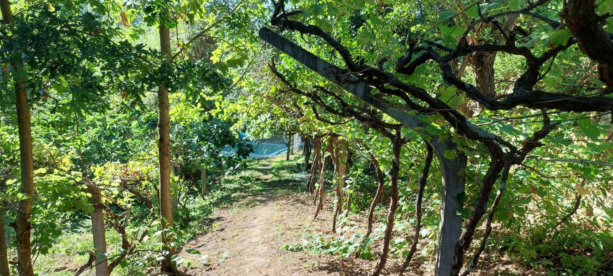 Вилла Quinta Dos Castros Douro Байан Экстерьер фото