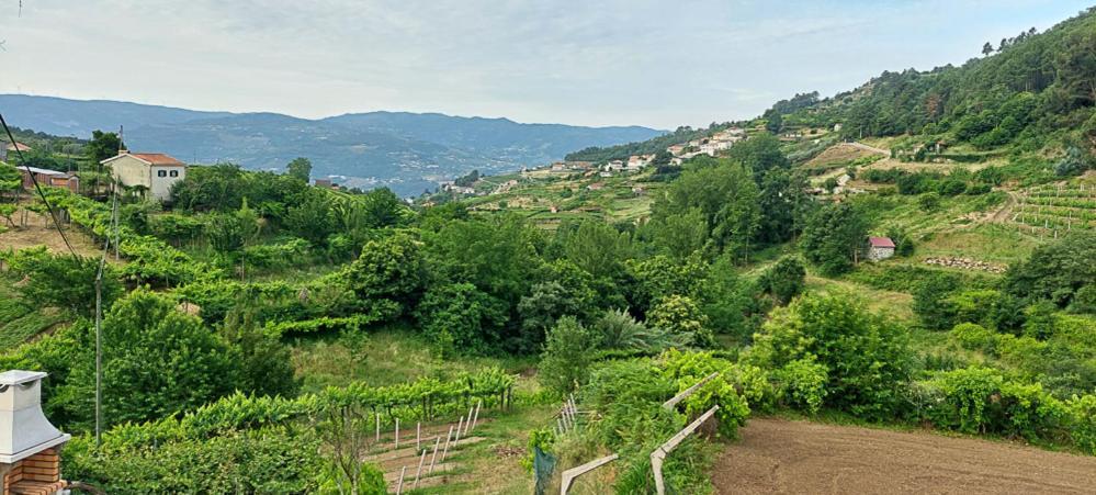 Вилла Quinta Dos Castros Douro Байан Экстерьер фото