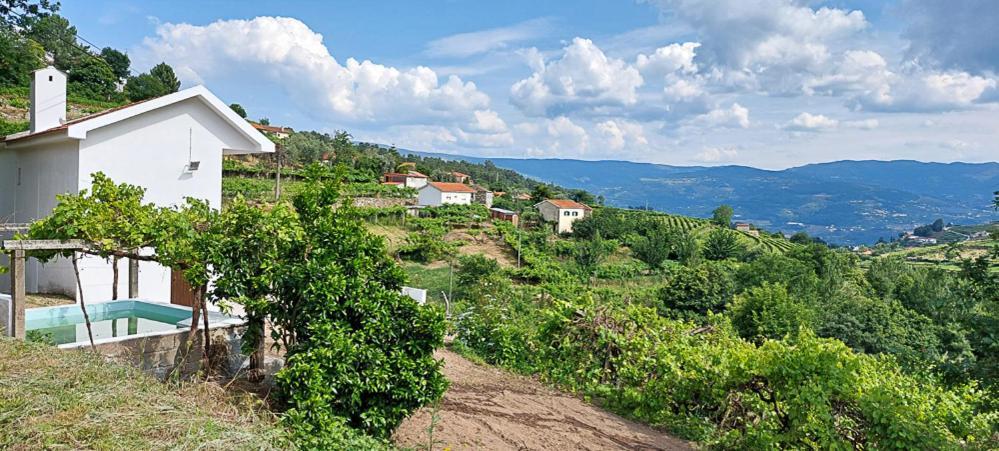 Вилла Quinta Dos Castros Douro Байан Экстерьер фото