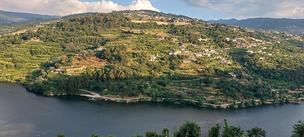 Вилла Quinta Dos Castros Douro Байан Экстерьер фото