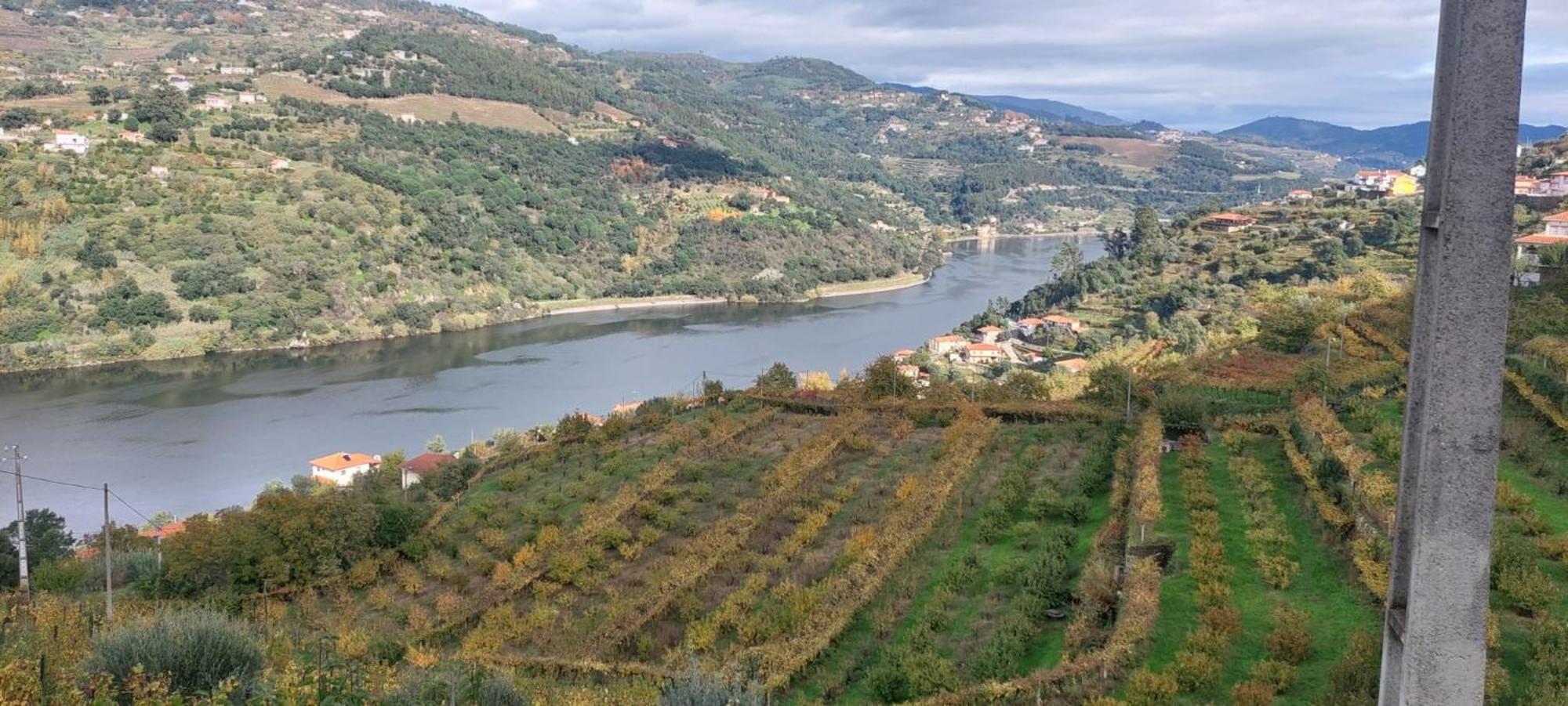 Вилла Quinta Dos Castros Douro Байан Экстерьер фото