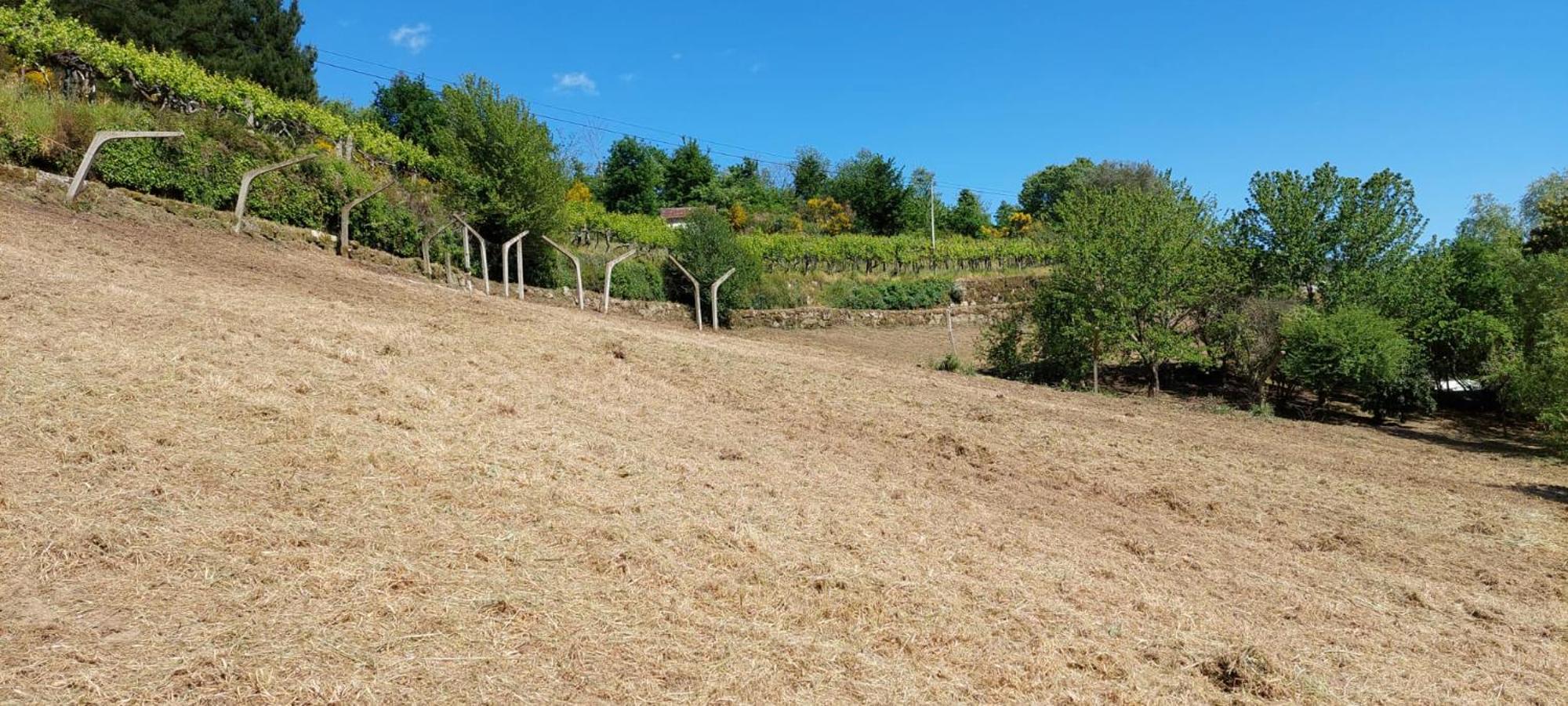 Вилла Quinta Dos Castros Douro Байан Экстерьер фото