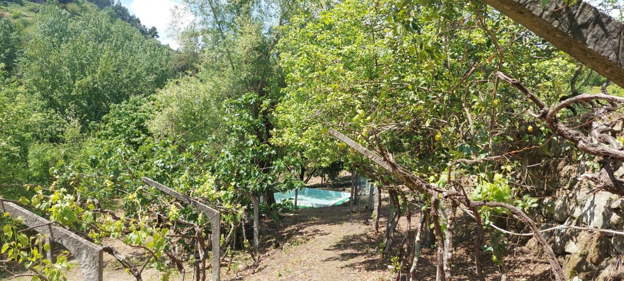 Вилла Quinta Dos Castros Douro Байан Экстерьер фото